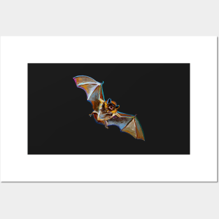 Spooky Bat Pattern with Stars by Robert Phelps Posters and Art